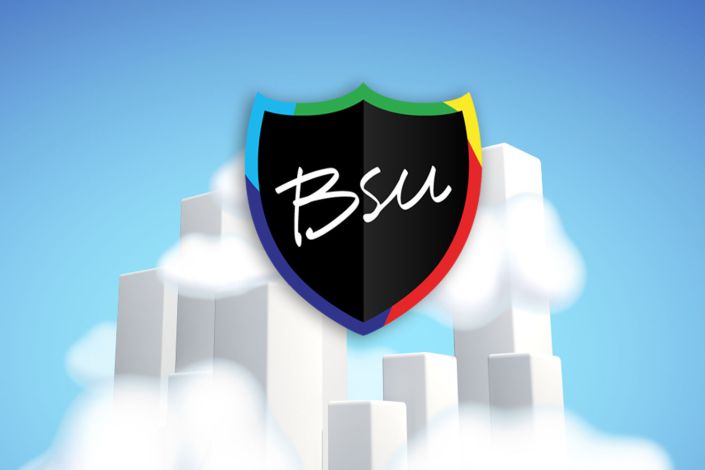 https://bsu.nl/assets/uploads/BSU_booster_shield_-_schild.jpg