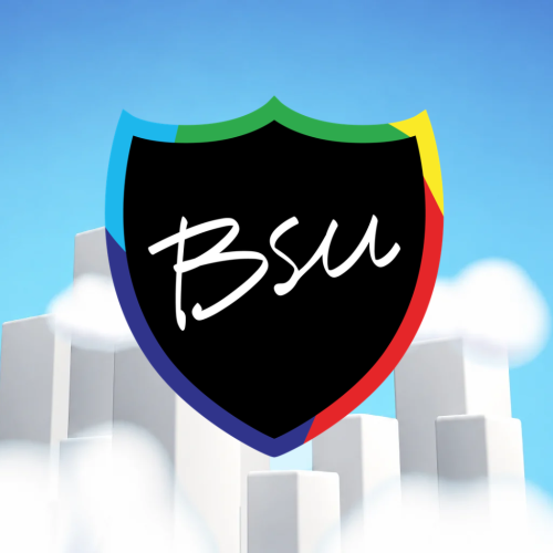 https://bsu.nl/assets/uploads/Vass-_Shield_1.png